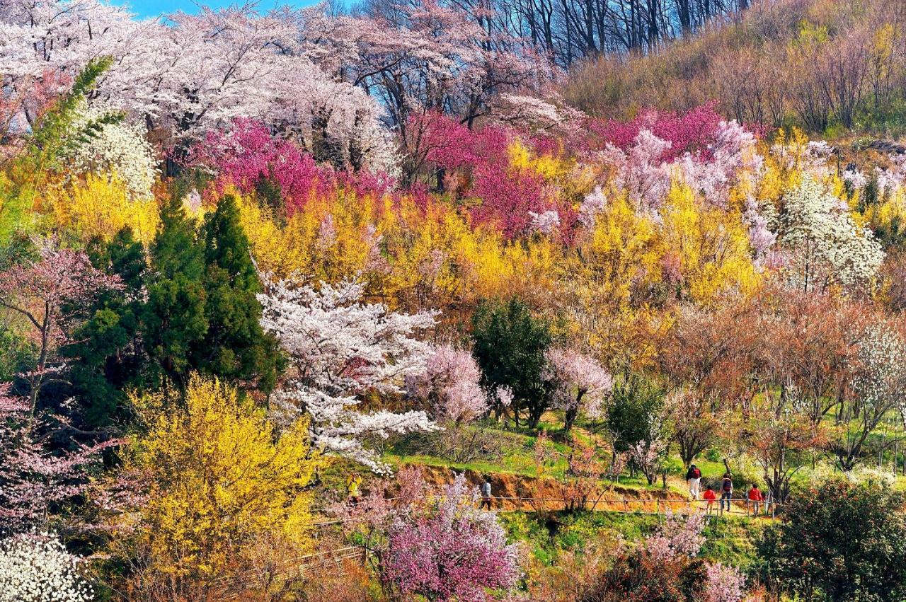 Apa 호텔 후쿠시마 에키마에 외부 사진